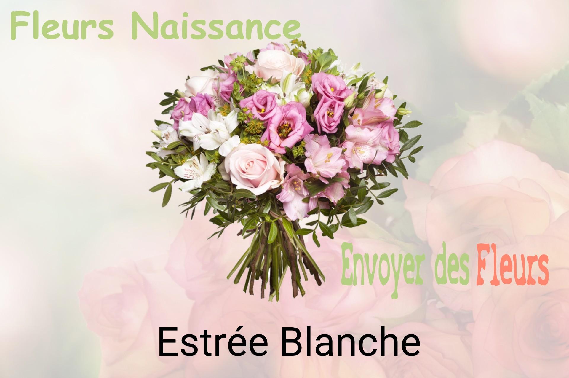 Bouquet de fleurs de naissance livré à Estrée-Blanche